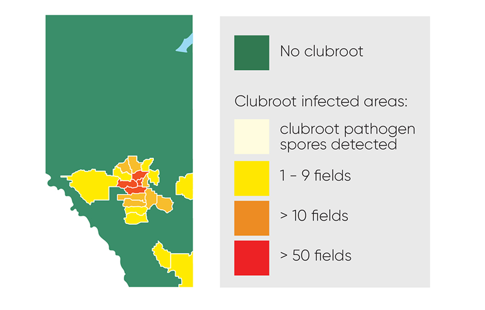 Clubroot affected areas in 2011