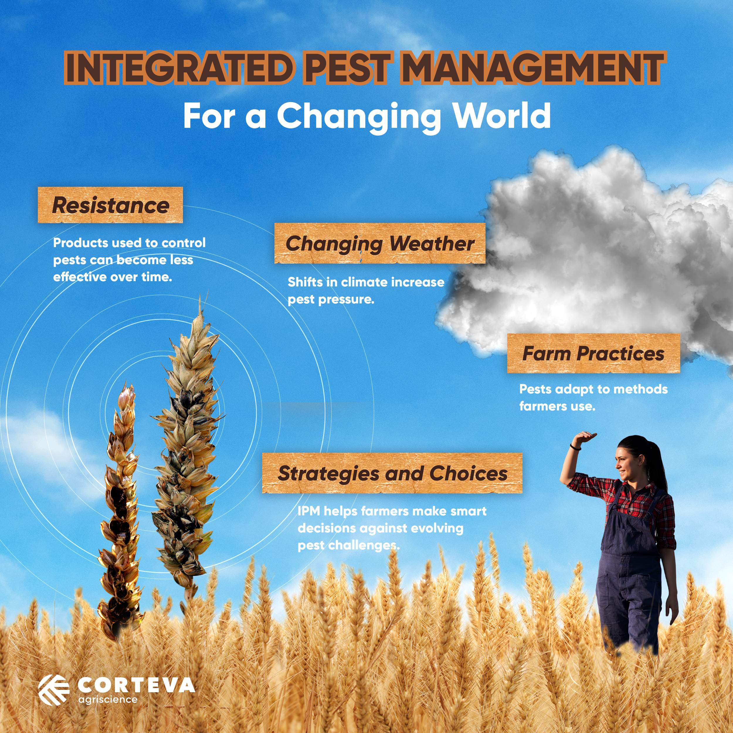 IPM infographic IPM plan components