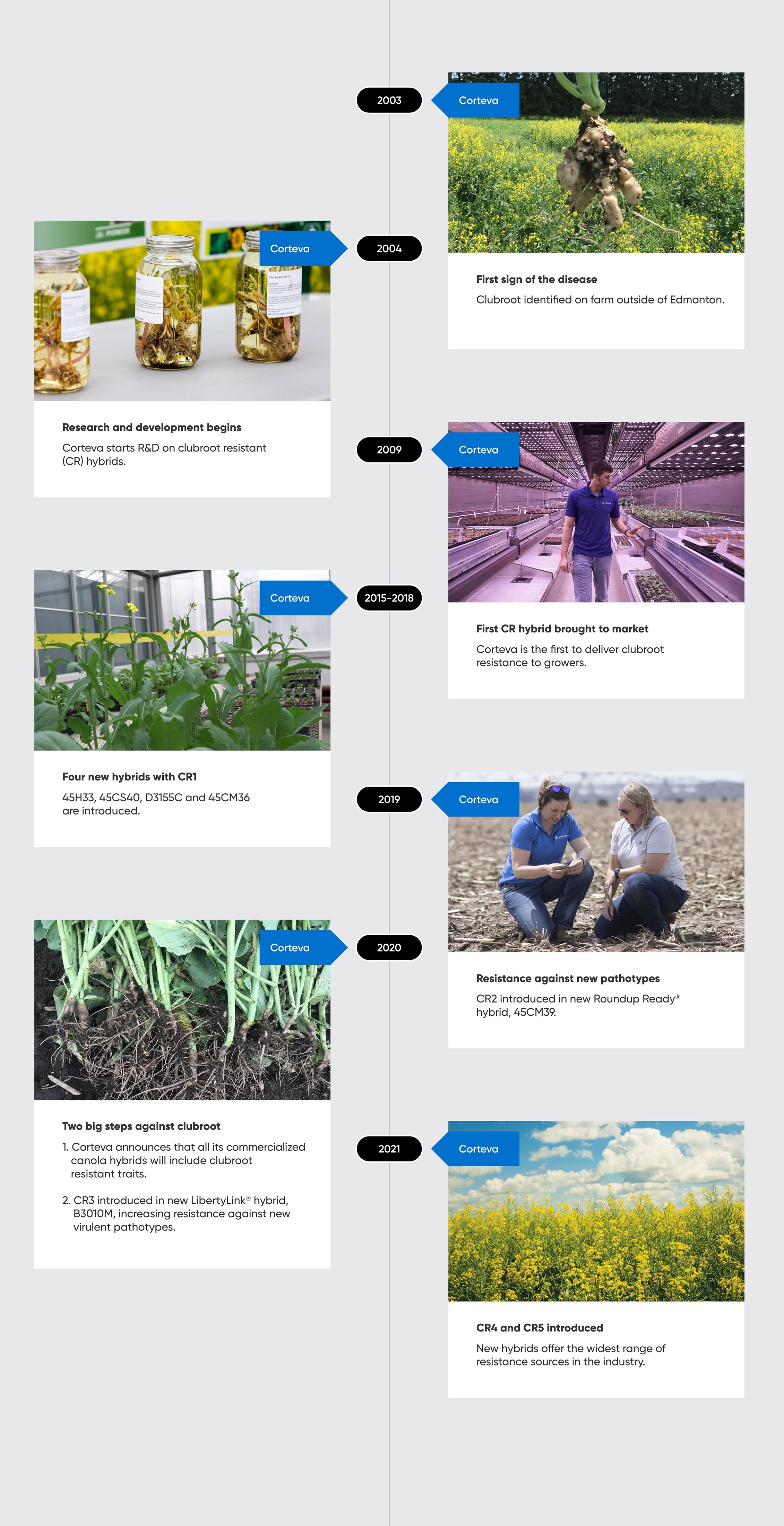 clubroot infographic timeline