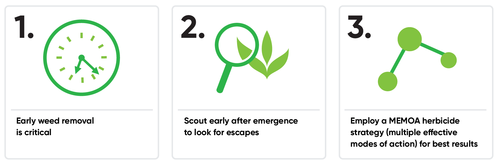 early wee removal is critical. Scout early after emergence to look for escapes. Exmploy a MEMOA herbicide strategy for best results