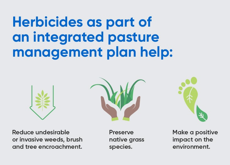 Herbicides as  part of an integrated pasture management plan help reduce undesirable weeds, preserve native grass species, make a positive impact on the environment.
