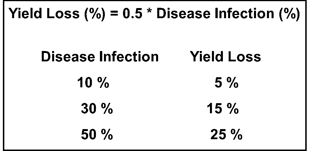 Yield loss calculation