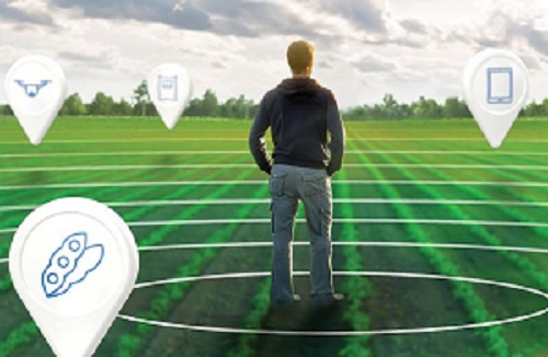 man standing in field