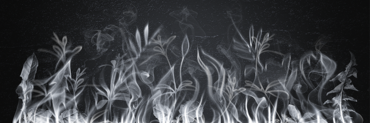 extinguish xl fire creative