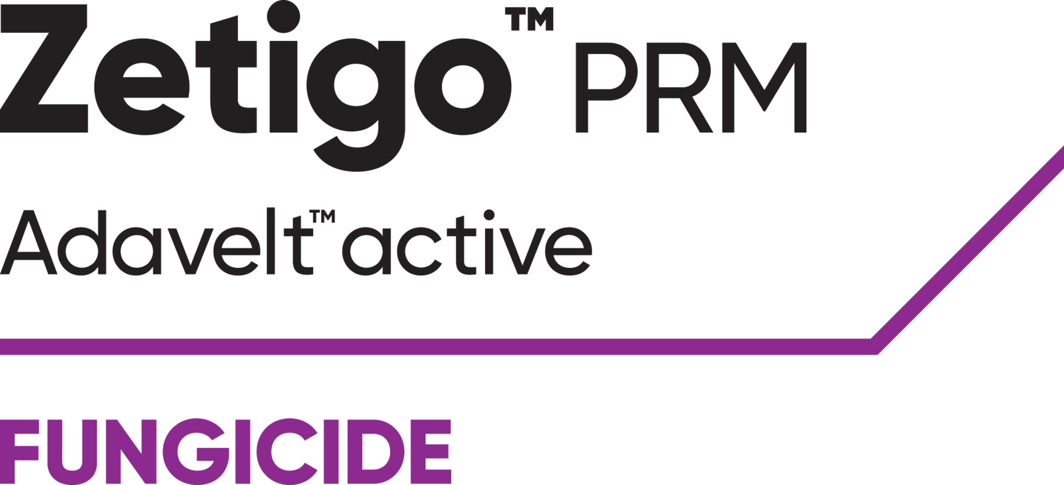 Zetigo PRM logo