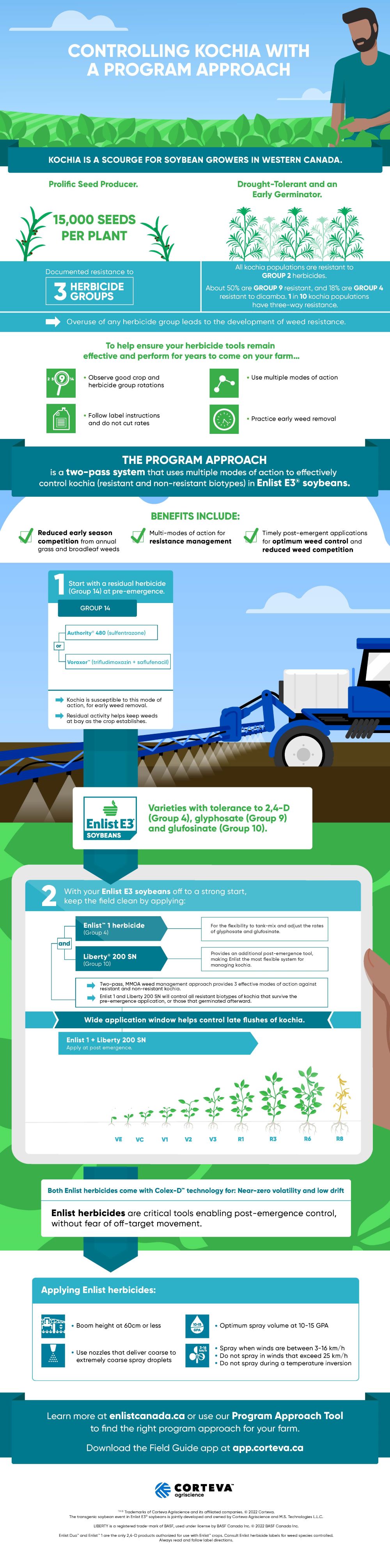 Controlling kochia infographic